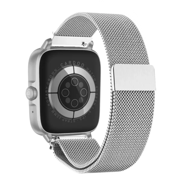 Magnetic Band