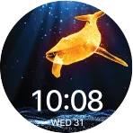 App image