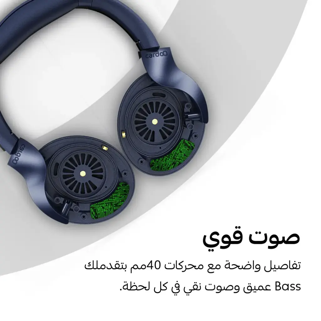 3.webp