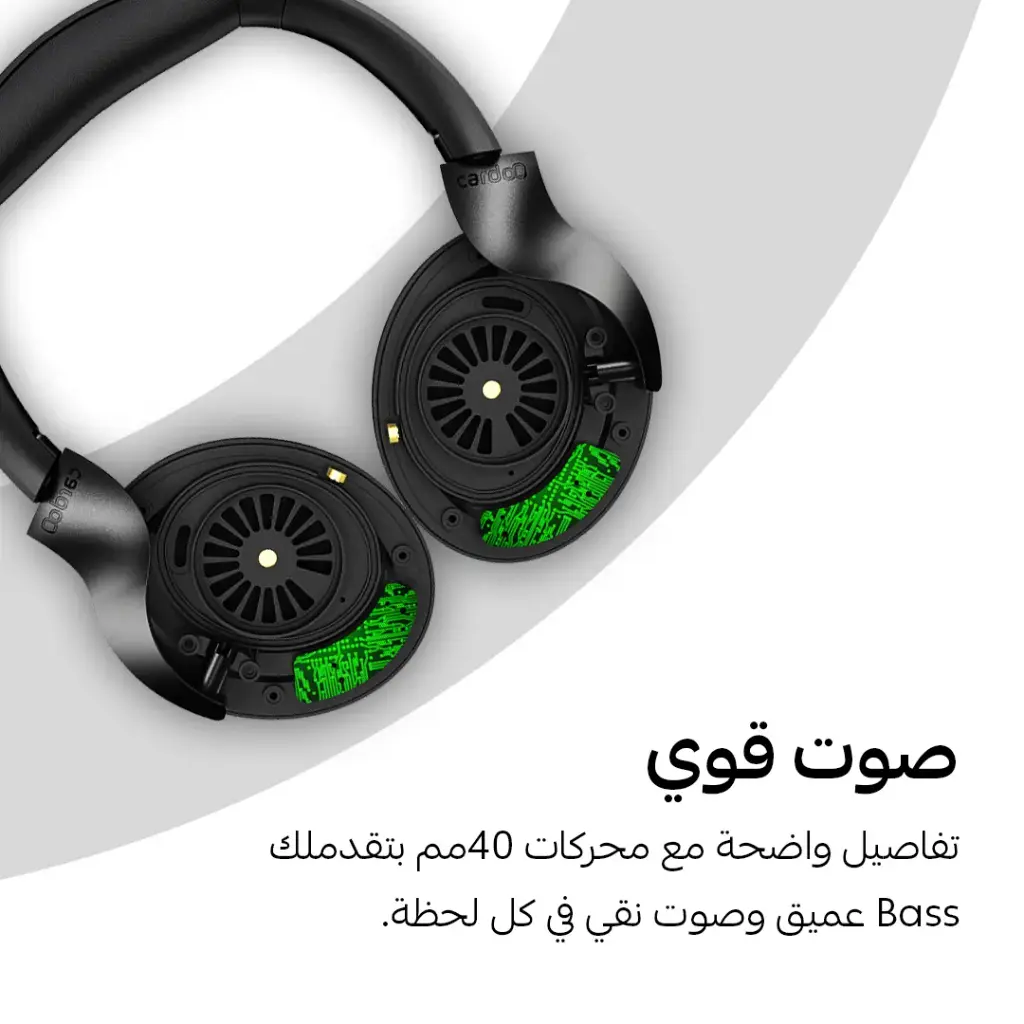 3.webp