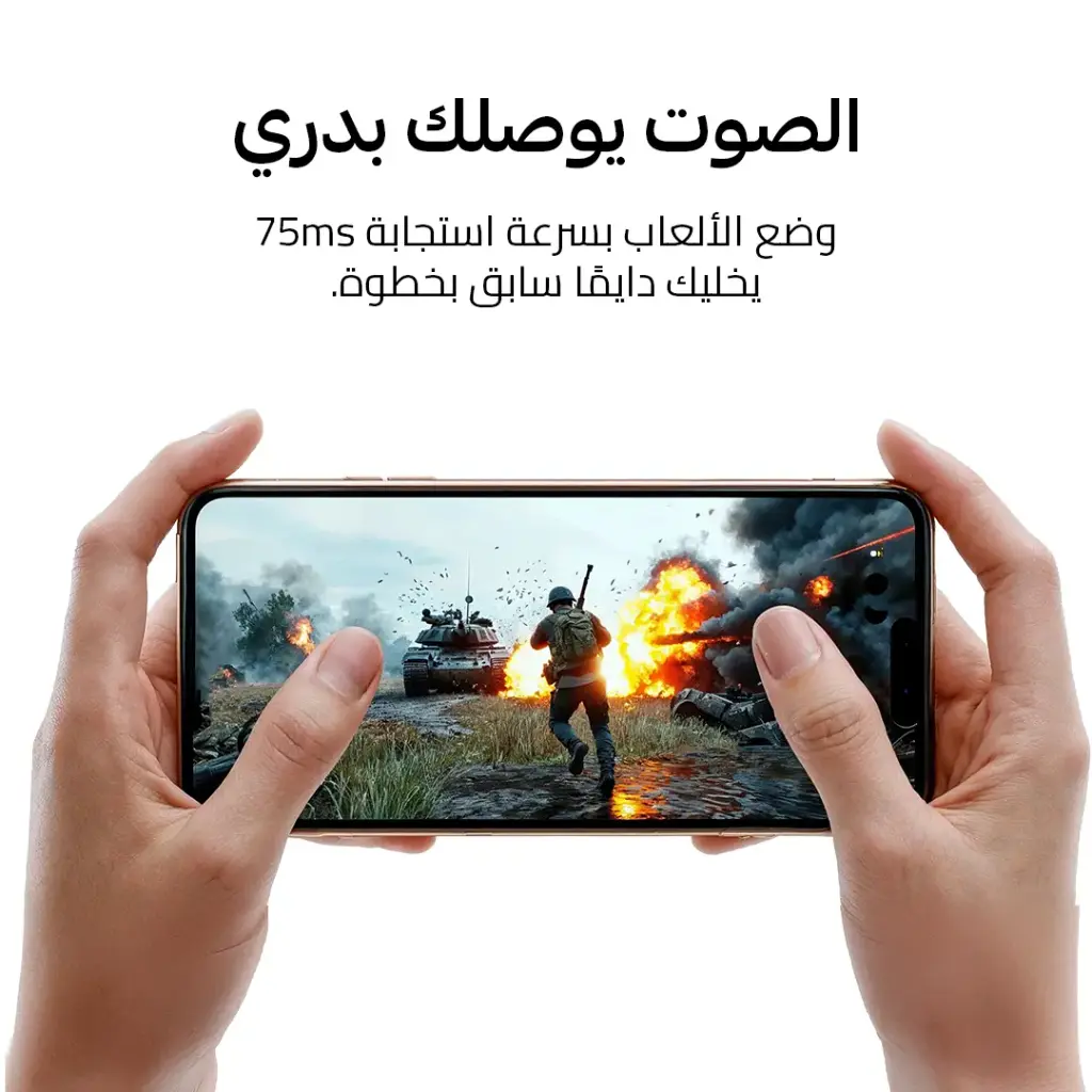 5.webp