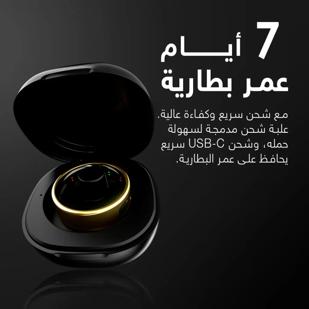 7.webp